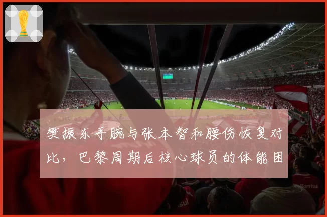 樊振东手腕与张本智和腰伤恢复对比,巴黎周期后核心球员的体能困境