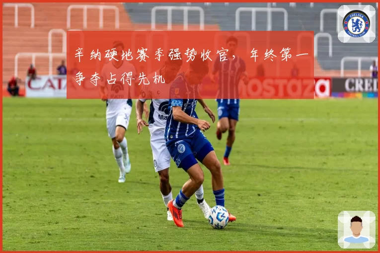 辛纳硬地赛季强势收官，年终第一争夺占得先机